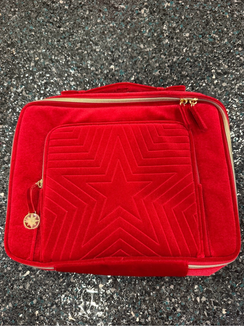 Estee Lauder Train Case Bag 2023 Limited Edition -Red Velvet w/Handle & Gold Tag